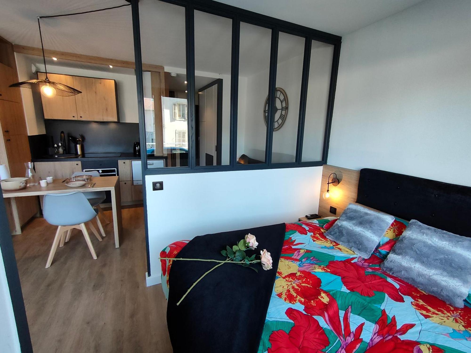 Apartment Magnifique 3 Etoiles En Hyper Centre Avec Place Privee Aix-les-Bains